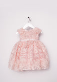TC3040 Allover 3D Floral Mesh Romantic Tutu Dress with Diaper Cover